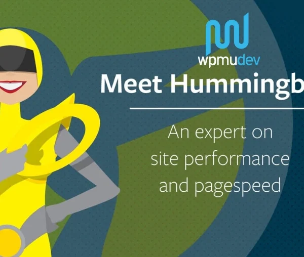 WPMU DEV Hummingbird Pro 3.19.0